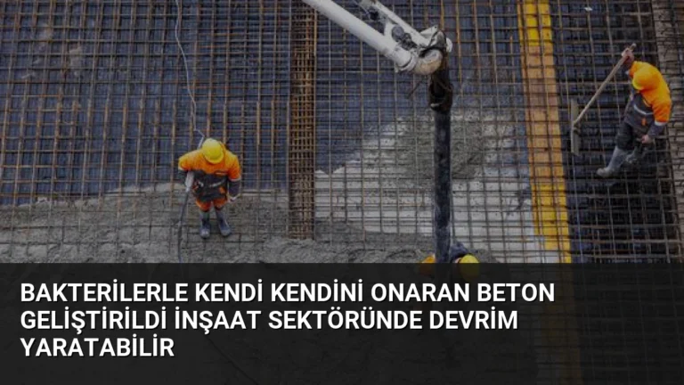 Bakterilerle Kendi Kendini Onaran Beton Geliştirildi İnşaat Sektöründe Devrim Yaratabilir