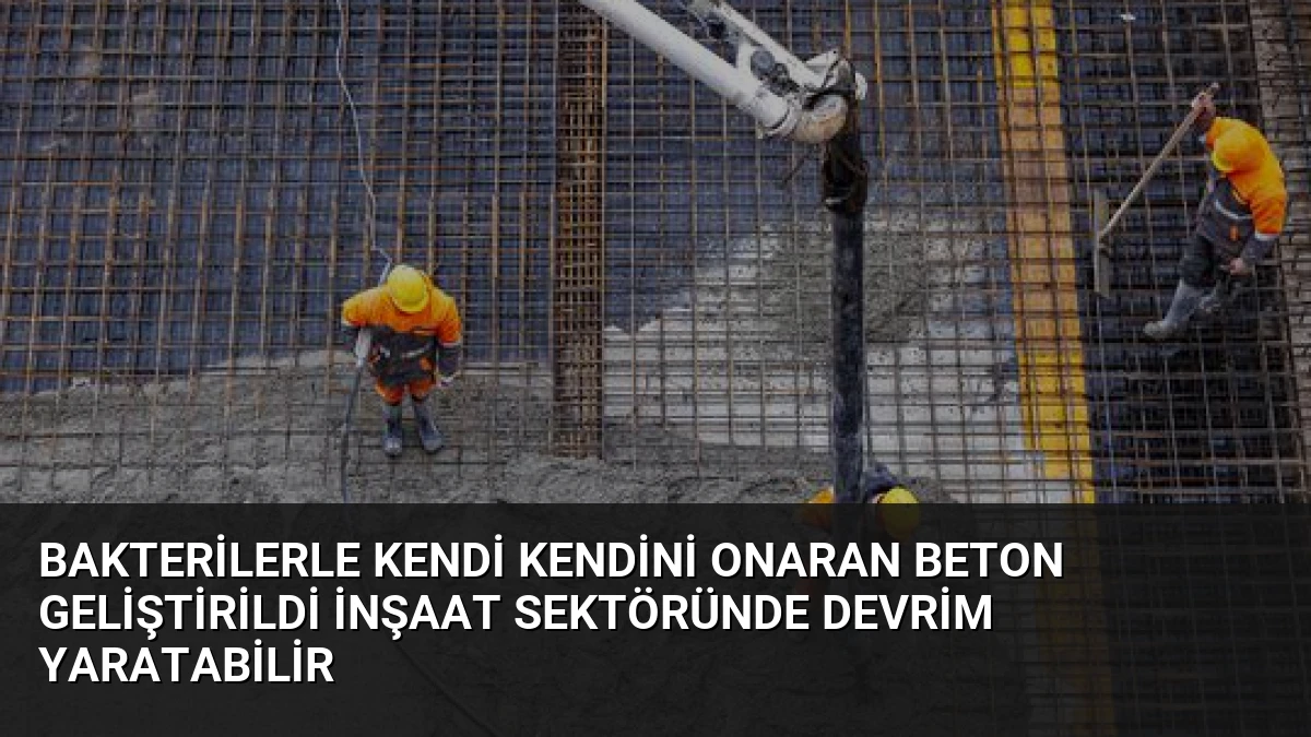 Bakterilerle Kendi Kendini Onaran Beton Geliştirildi İnşaat Sektöründe Devrim Yaratabilir
