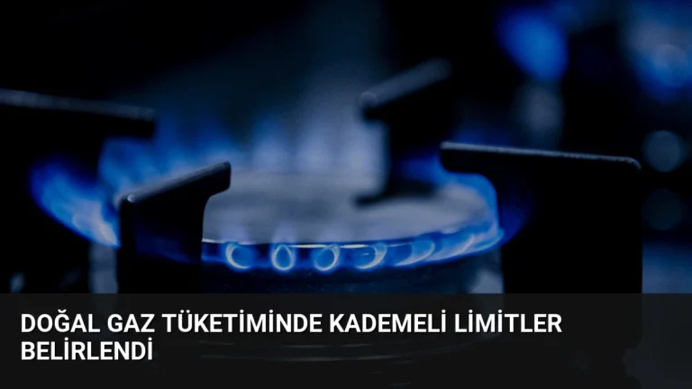 Doğal Gaz Tüketiminde Kademeli Limitler Belirlendi
