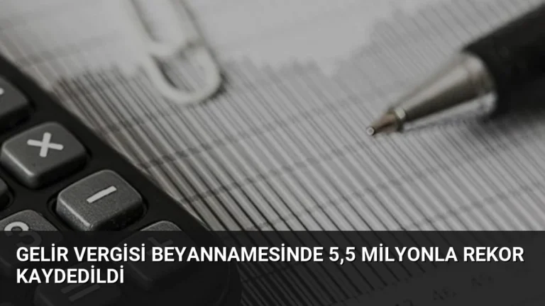 Gelir Vergisi Beyannamesinde 5,5 Milyonla Rekor Kaydedildi