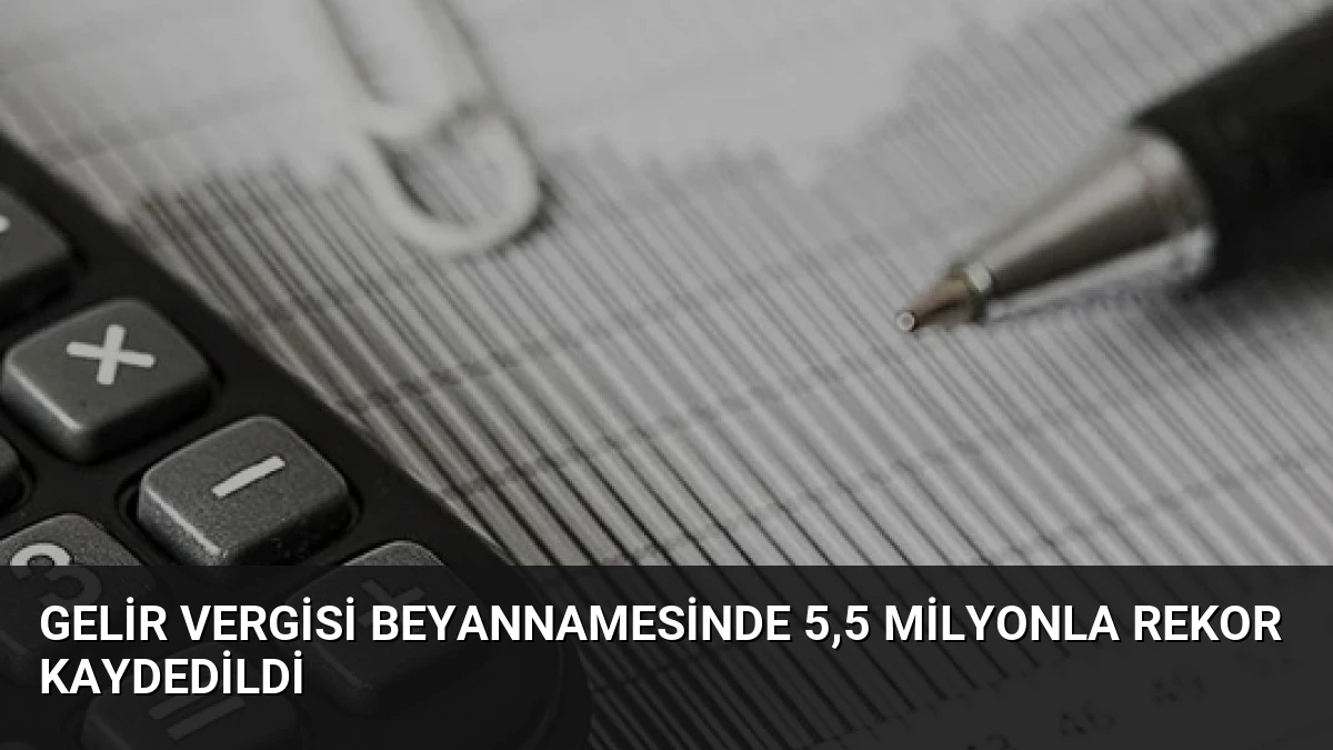 Gelir Vergisi Beyannamesinde 5,5 Milyonla Rekor Kaydedildi