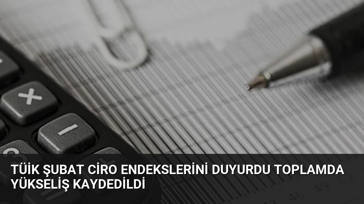 TÜİK Şubat Ciro Endekslerini Duyurdu Toplamda Yükseliş Kaydedildi