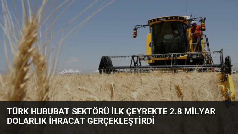 Türk Hububat Sektörü İlk Çeyrekte 2.8 Milyar Dolarlık İhracat Gerçekleştirdi