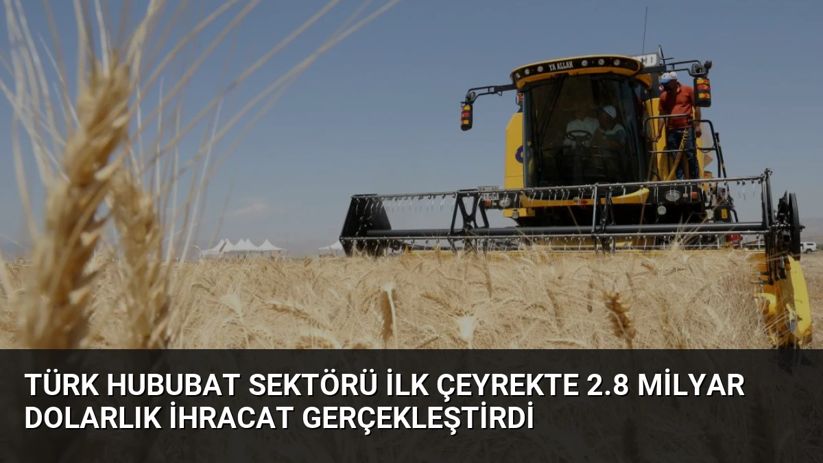 Türk Hububat Sektörü İlk Çeyrekte 2.8 Milyar Dolarlık İhracat Gerçekleştirdi