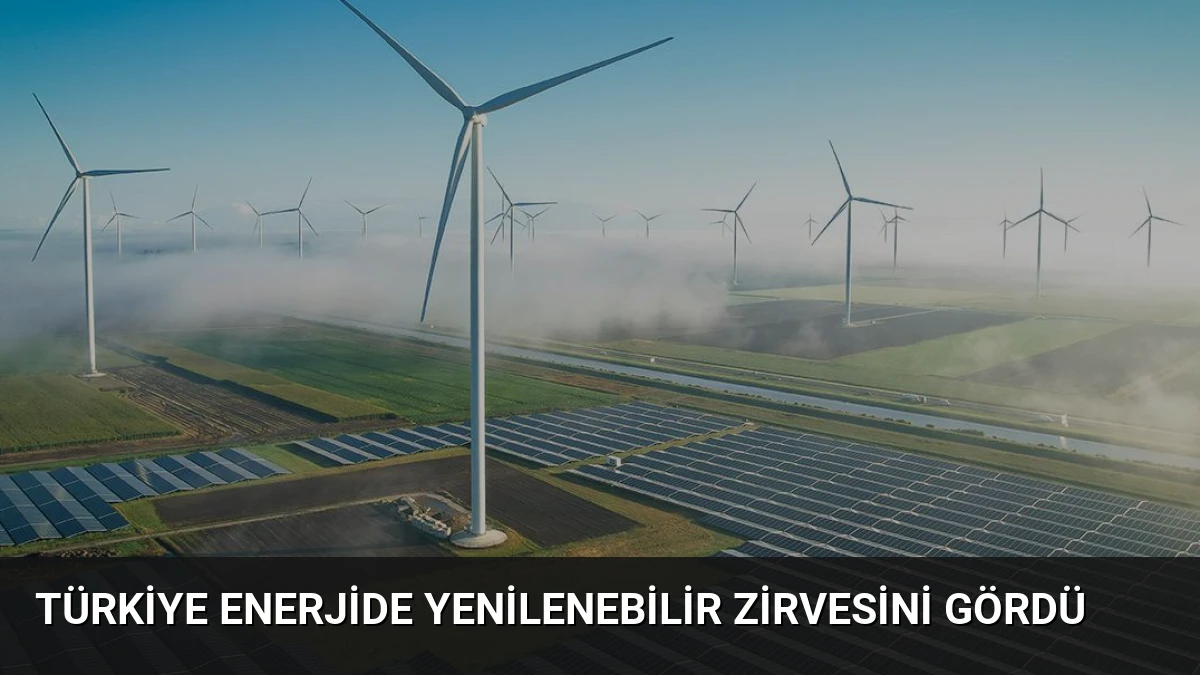 Türkiye Enerjide Yenilenebilir Zirvesini Gördü