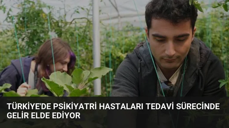 Türkiye’de Psikiyatri Hastaları Tedavi Sürecinde Gelir Elde Ediyor