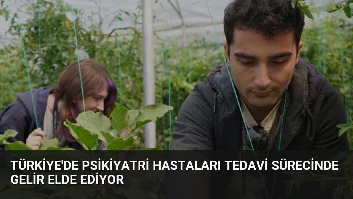 Türkiye’de Psikiyatri Hastaları Tedavi Sürecinde Gelir Elde Ediyor