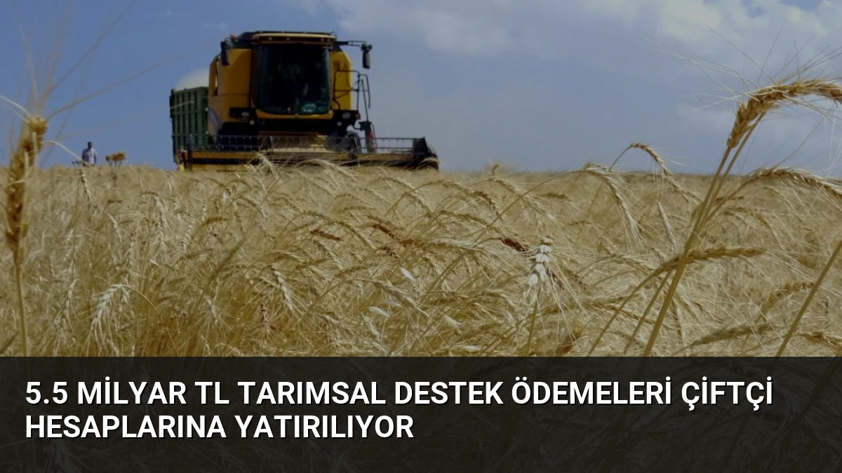 5.5 Milyar TL Tarımsal Destek Ödemeleri Çiftçi Hesaplarına Yatırılıyor