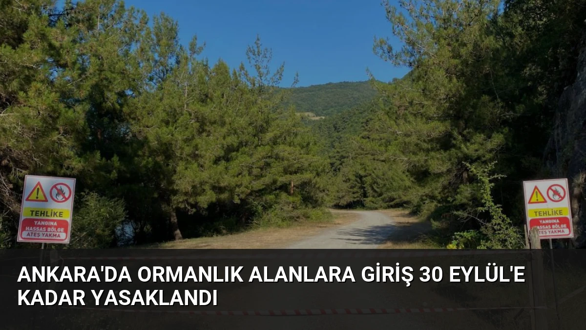 Ankara’da Ormanlık Alanlara Giriş 30 Eylül’e Kadar Yasaklandı