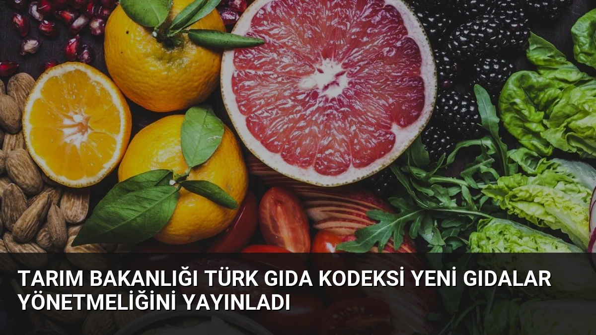 Tarım Bakanlığı Türk Gıda Kodeksi Yeni Gıdalar Yönetmeliğini Yayınladı