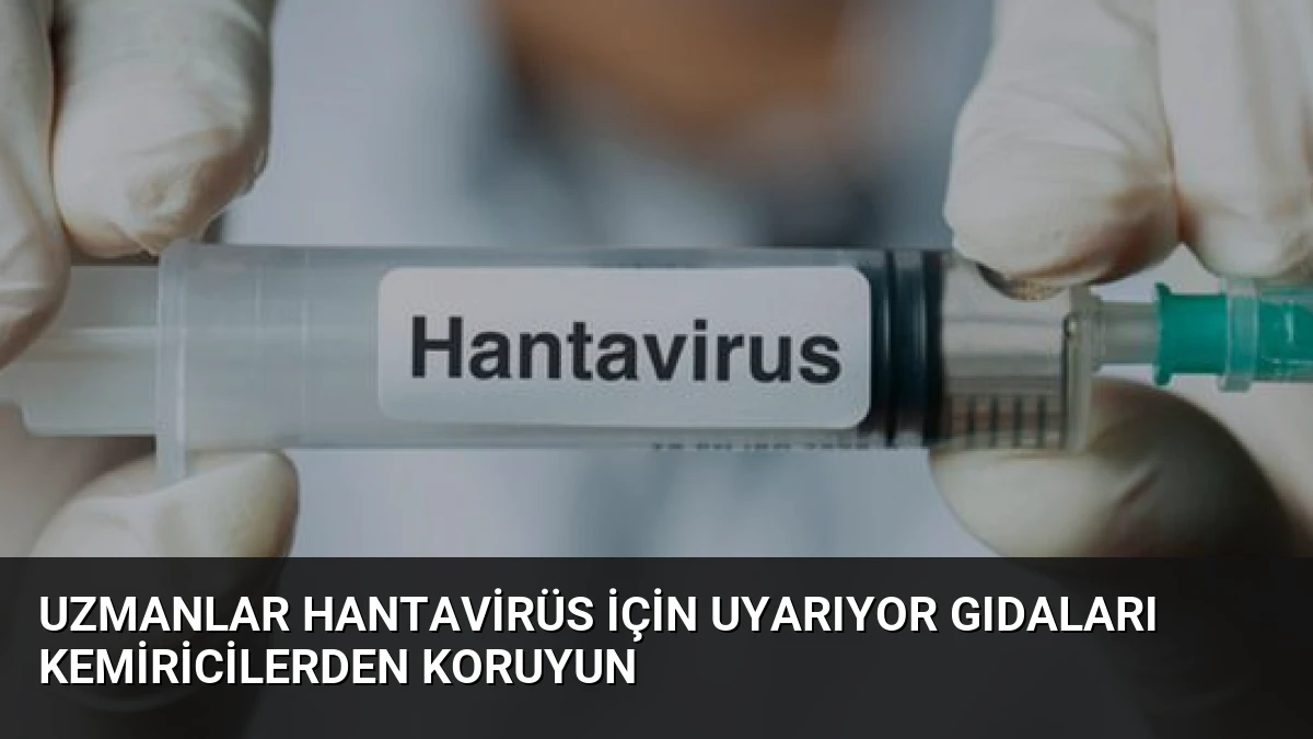 Uzmanlar Hantavirüs İçin Uyarıyor Gıdaları Kemiricilerden Koruyun