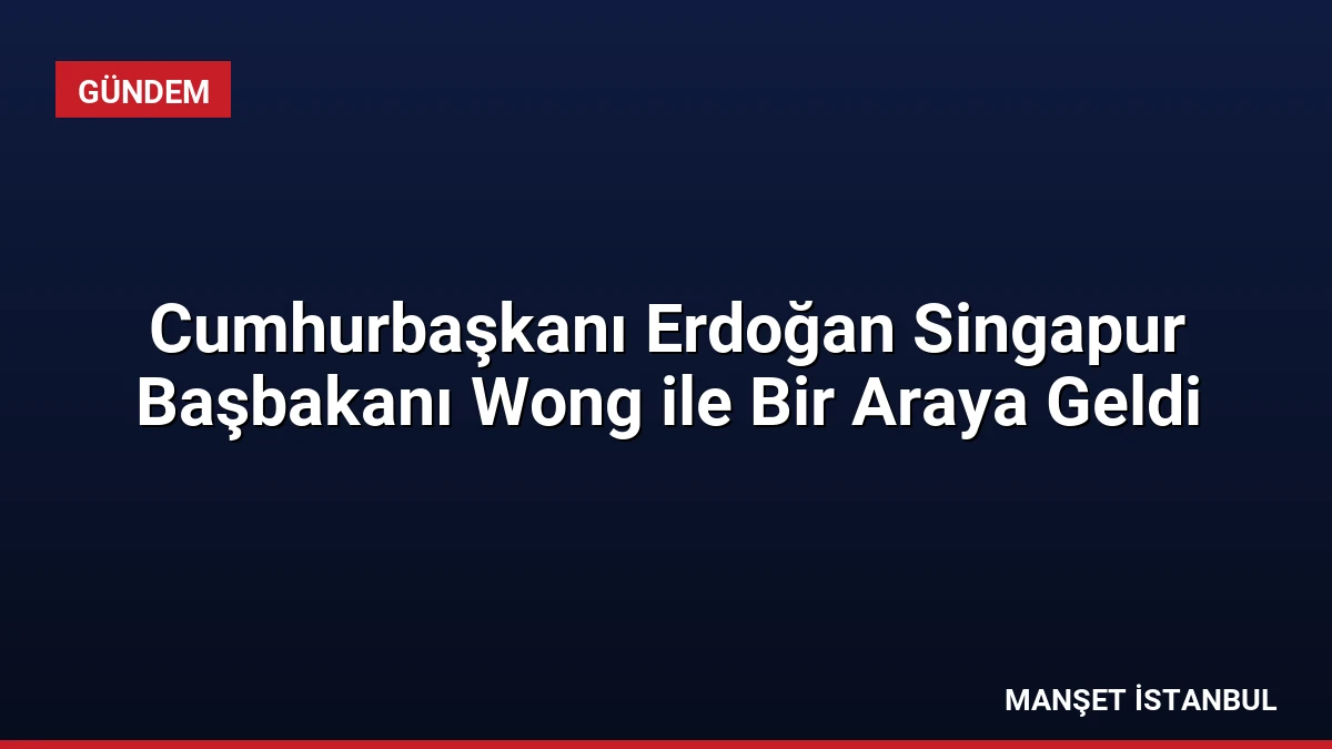 Cumhurbaşkanı Erdoğan Singapur Başbakanı Wong ile Bir Araya Geldi