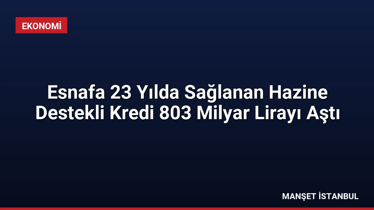 Esnafa 23 Yılda Sağlanan Hazine Destekli Kredi 803 Milyar Lirayı Aştı