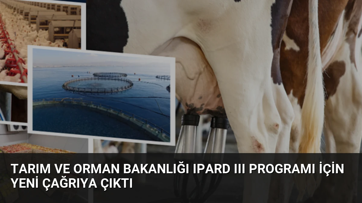 Tarım ve Orman Bakanlığı IPARD III Programı için yeni çağrıya çıktı