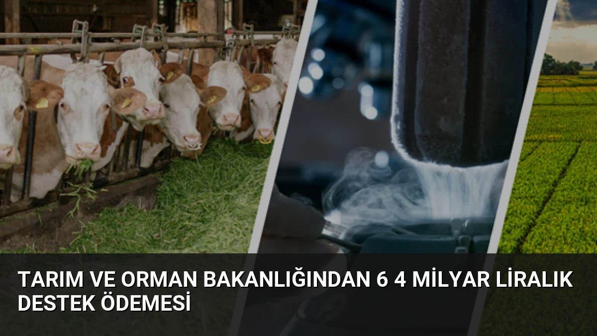 Tarım ve Orman Bakanlığından 6 4 Milyar Liralık Destek Ödemesi