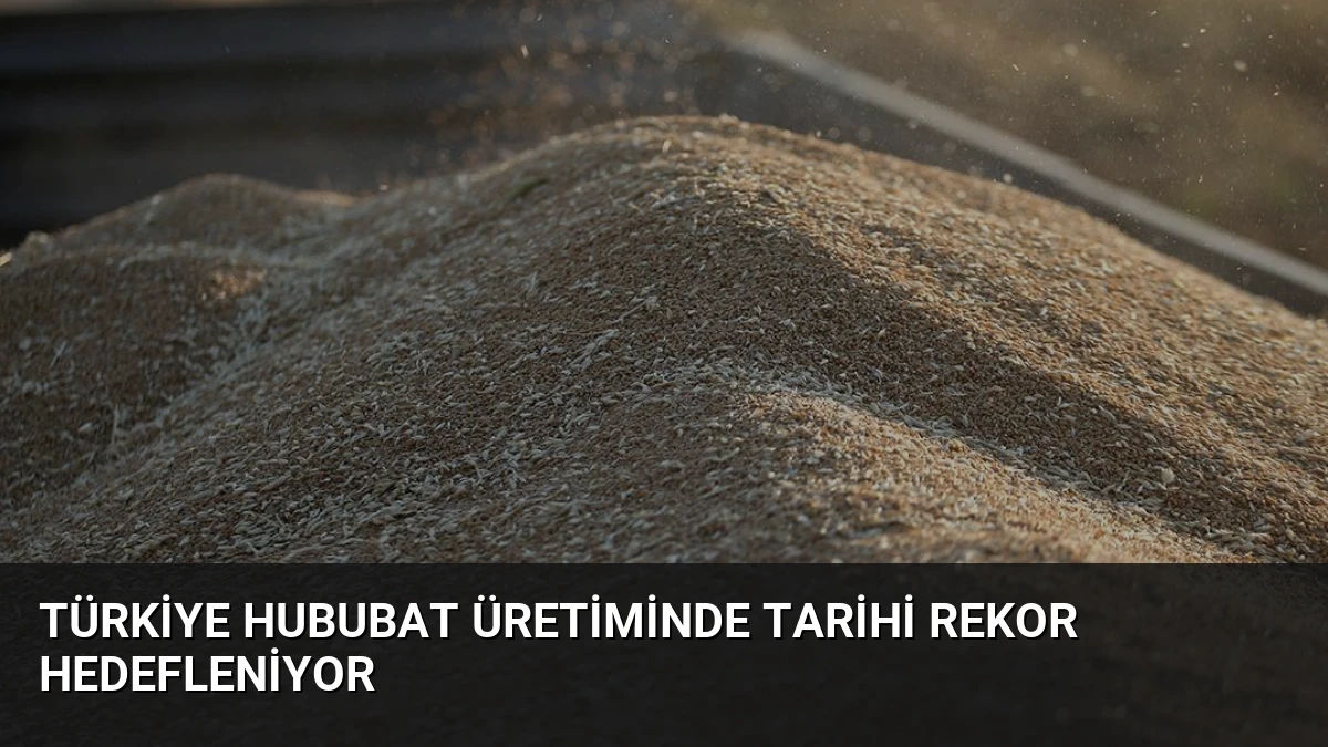 Türkiye Hububat Üretiminde Tarihi Rekor Hedefleniyor