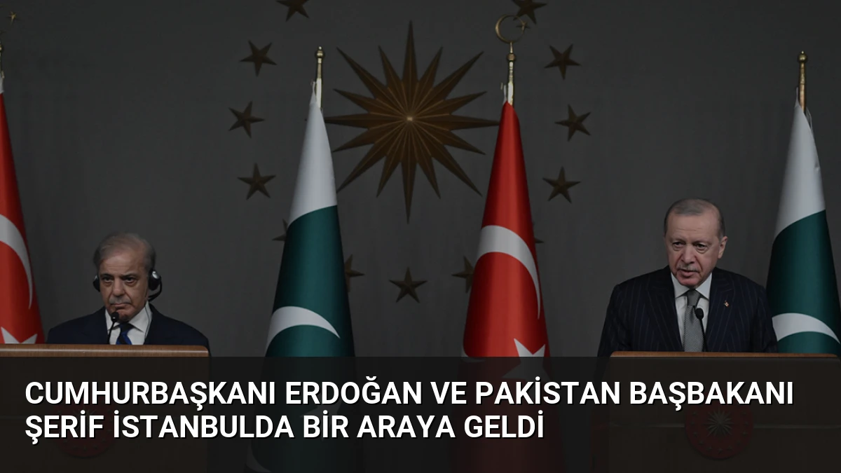 Cumhurbaşkanı Erdoğan ve Pakistan Başbakanı Şerif İstanbulda Bir Araya Geldi