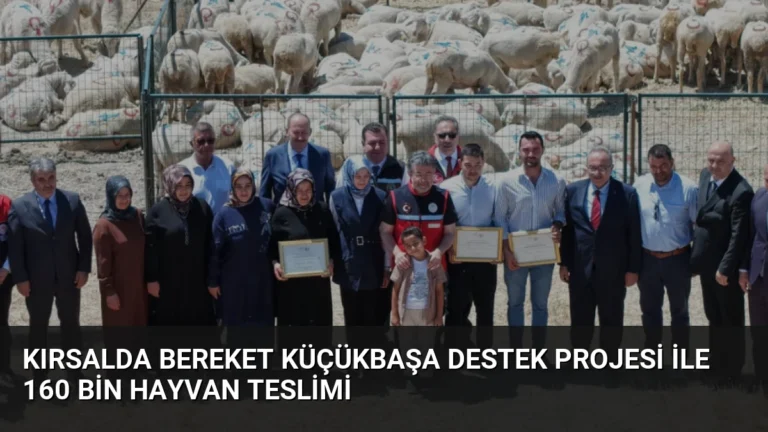 Kırsalda Bereket Küçükbaşa Destek Projesi ile 160 bin hayvan teslimi