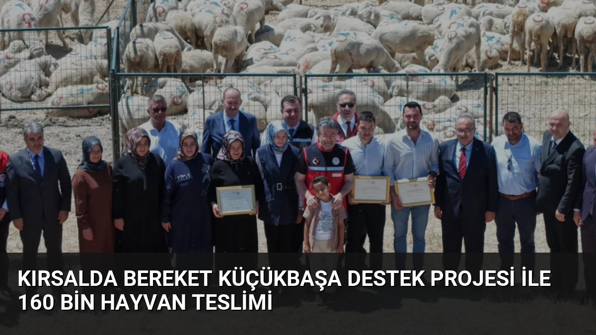Kırsalda Bereket Küçükbaşa Destek Projesi ile 160 bin hayvan teslimi