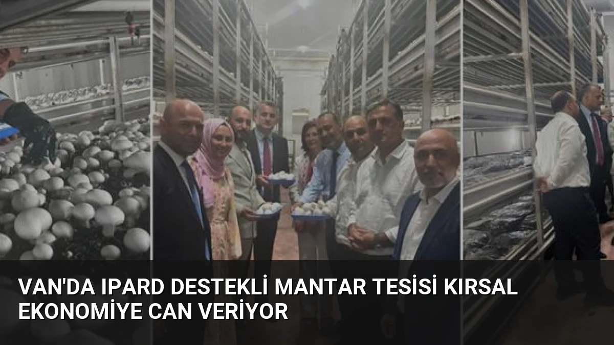 Van’da IPARD Destekli Mantar Tesisi Kırsal Ekonomiye Can Veriyor