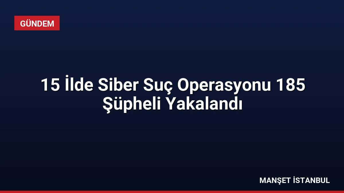15 İlde Siber Suç Operasyonu 185 Şüpheli Yakalandı