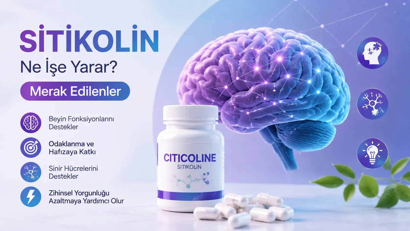 Sitikolin Ne İşe Yarar? Merak Edilenler