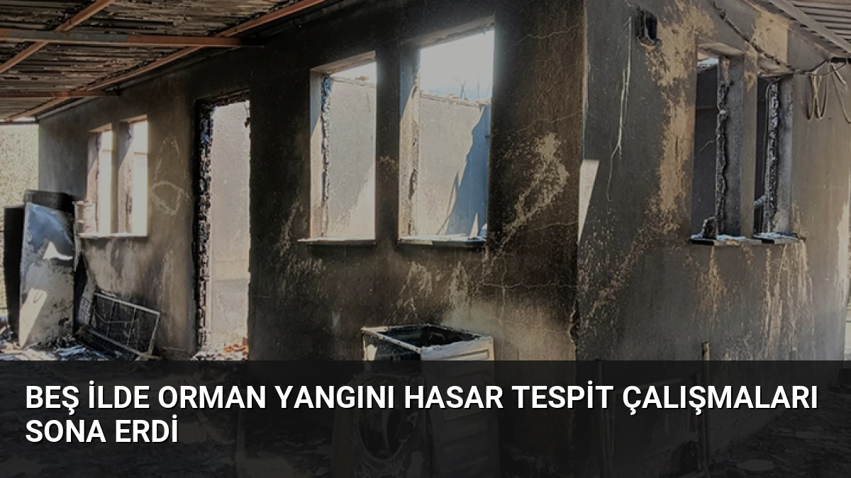 Beş İlde Orman Yangını Hasar Tespit Çalışmaları Sona Erdi