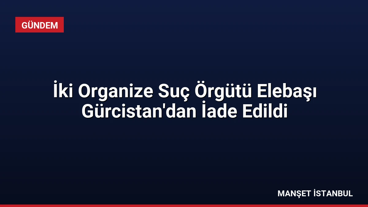 İki Organize Suç Örgütü Elebaşı Gürcistan’dan İade Edildi