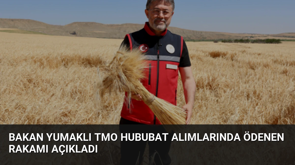 Bakan Yumaklı TMO Hububat Alımlarında Ödenen Rakamı Açıkladı