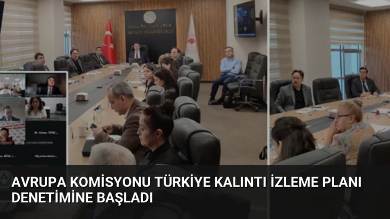 Avrupa Komisyonu Türkiye Kalıntı İzleme Planı Denetimine Başladı