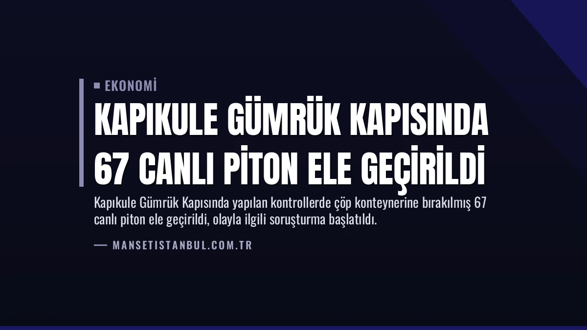 Kapıkule Gümrük Kapısında 67 Canlı Piton Ele Geçirildi